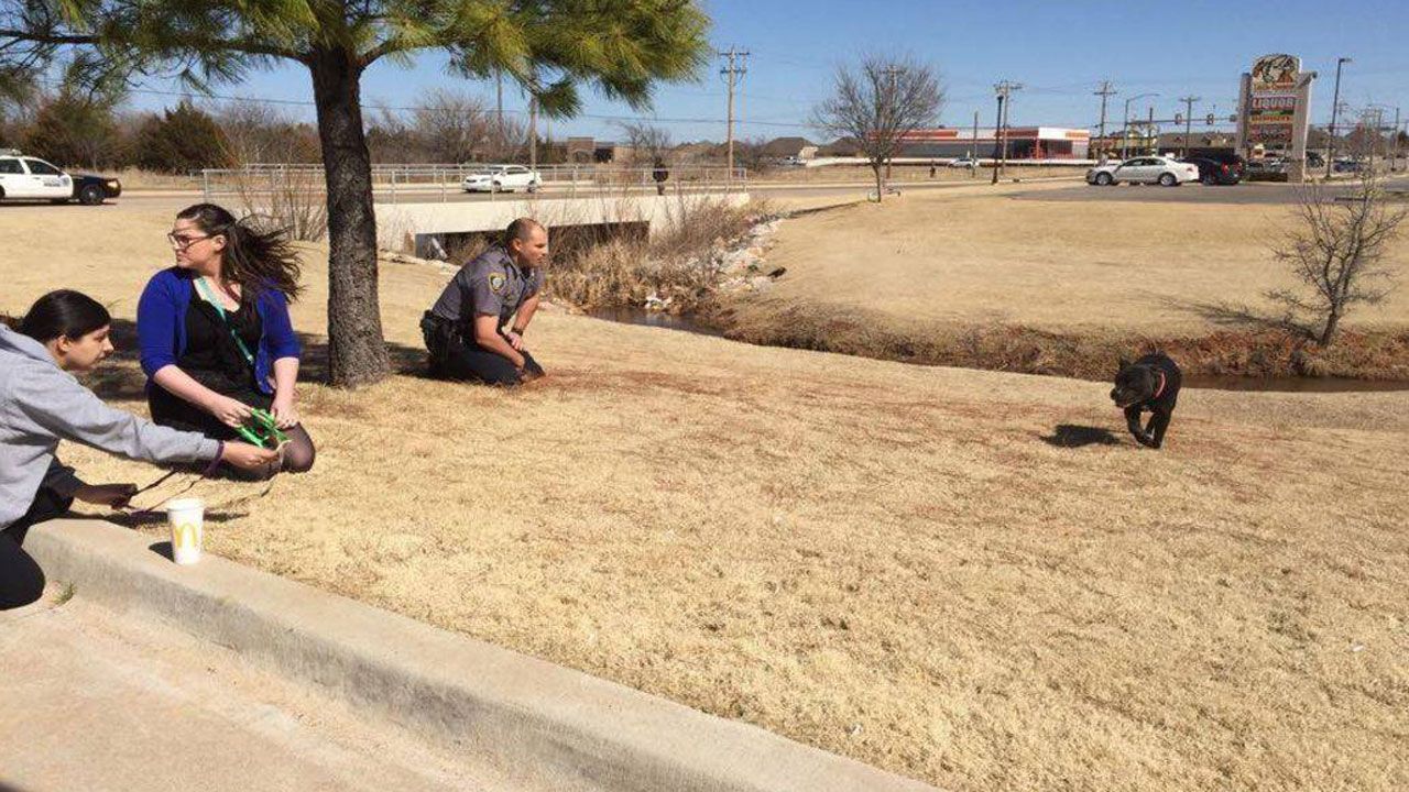 OKC Police Officer Applauded For Saving Stray Dog