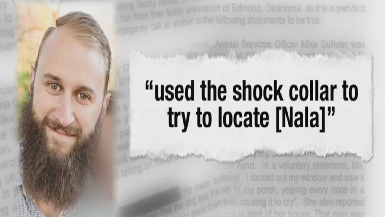 Edmond Dog Trainer Charged With Animal Cruelty