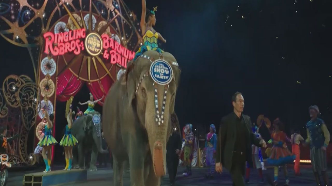 11 Elephants To Retire After Performing Final Show With Circus