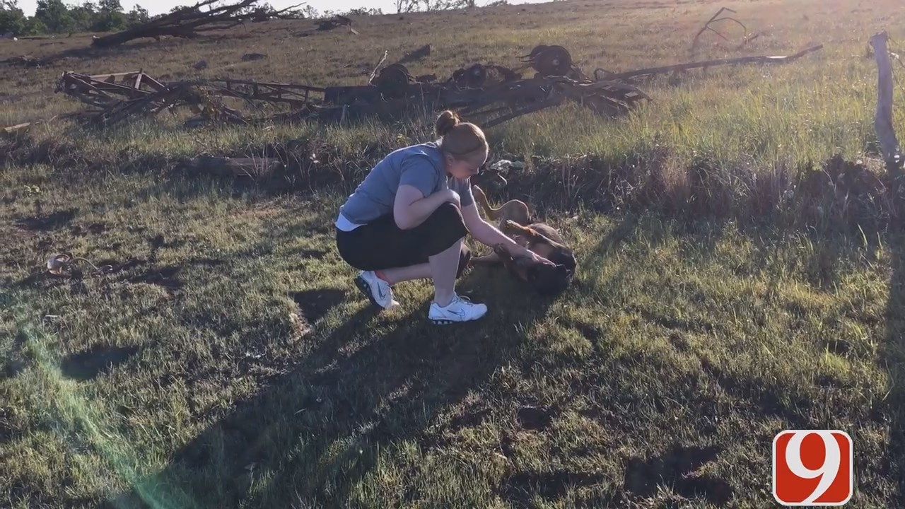 Dog Lost In Garvin County Storm Reunited With Family