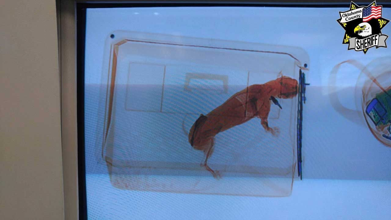 Authorities Warn Against Putting Animals Through X-Ray Machine At OK Co. Courthouse
