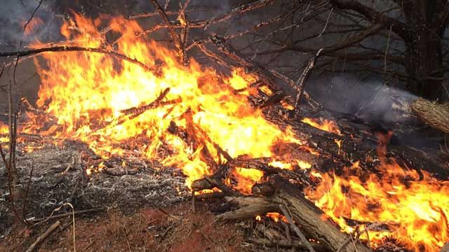 Truck Fire Sparks Wildfire In Jones