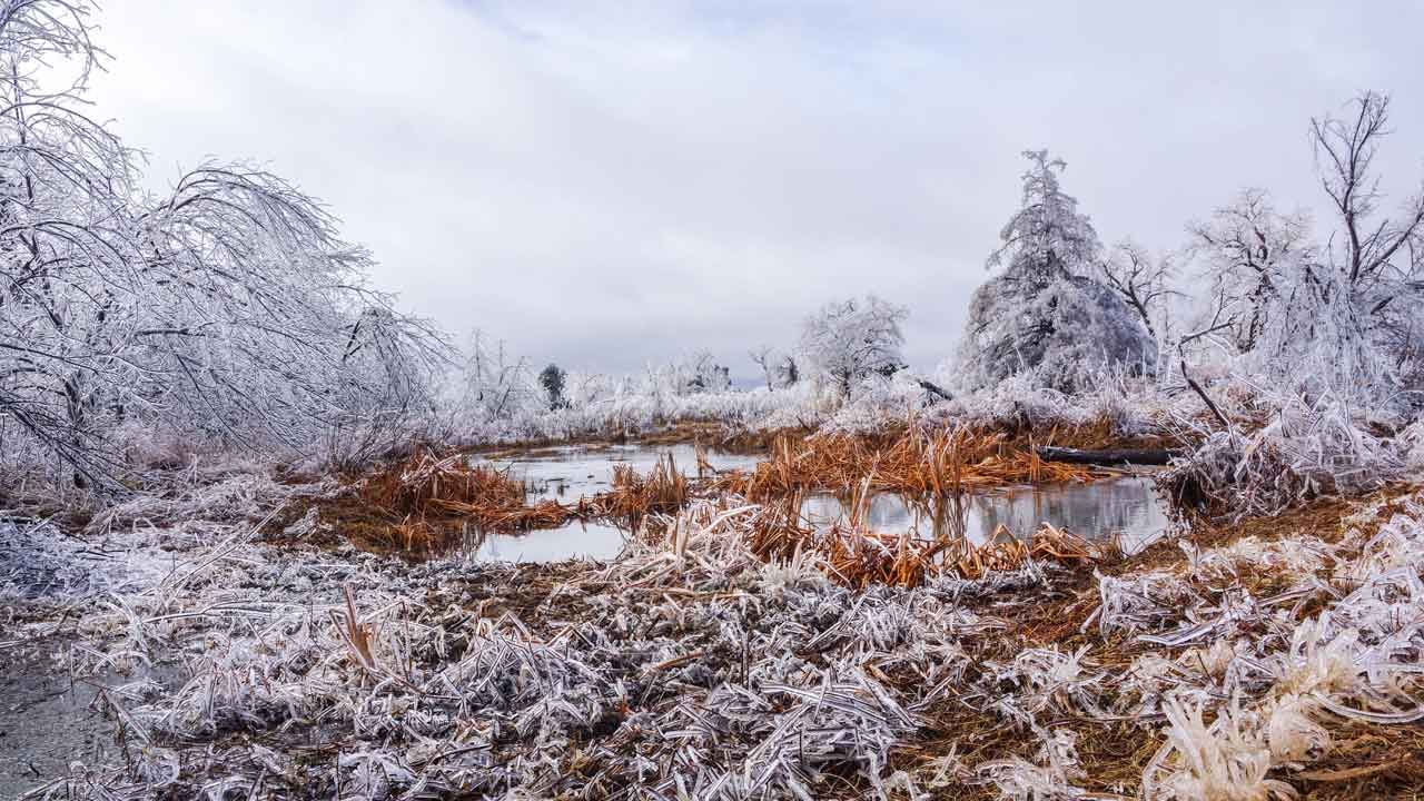 Trump Approves Disaster Funding For Oklahoma After January Winter Storm