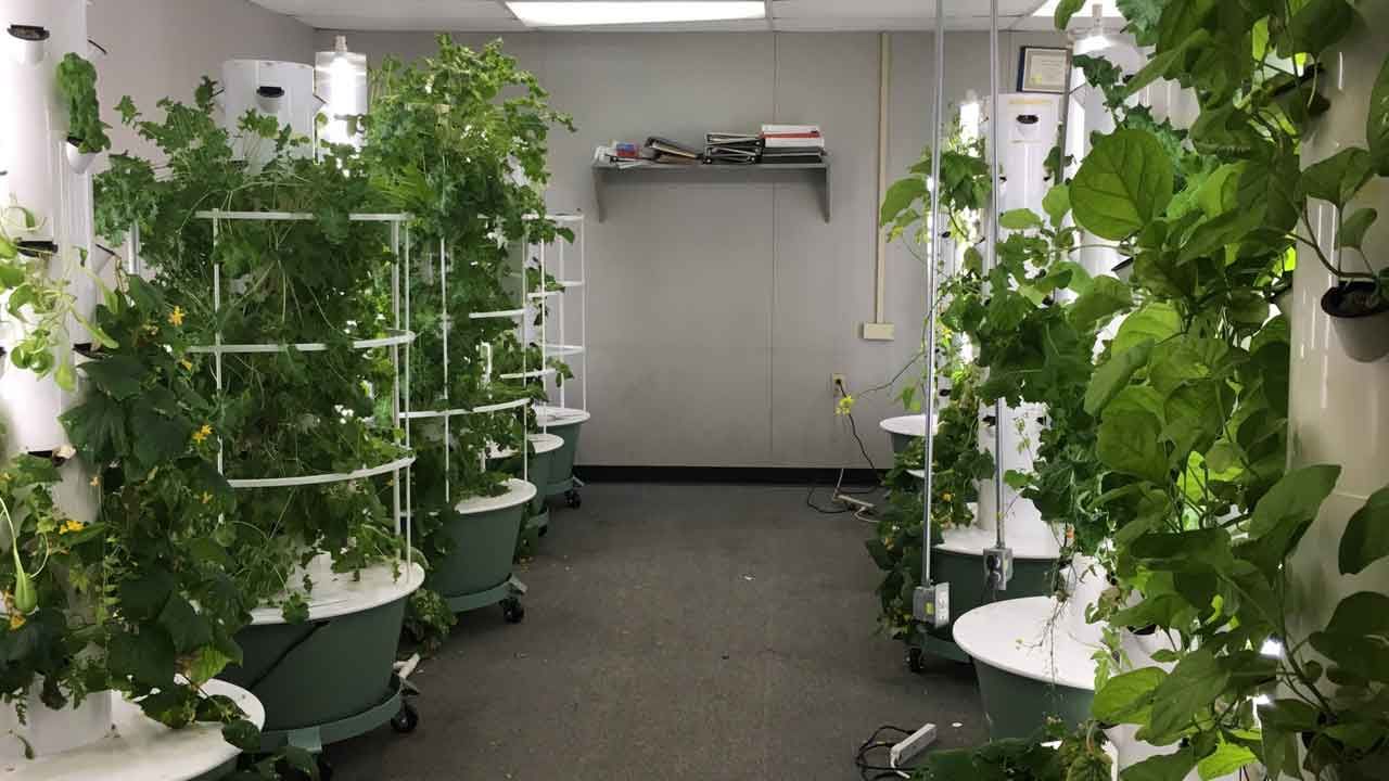 Rush Springs Students Learning STEM Skills, Marketing Through Gardening