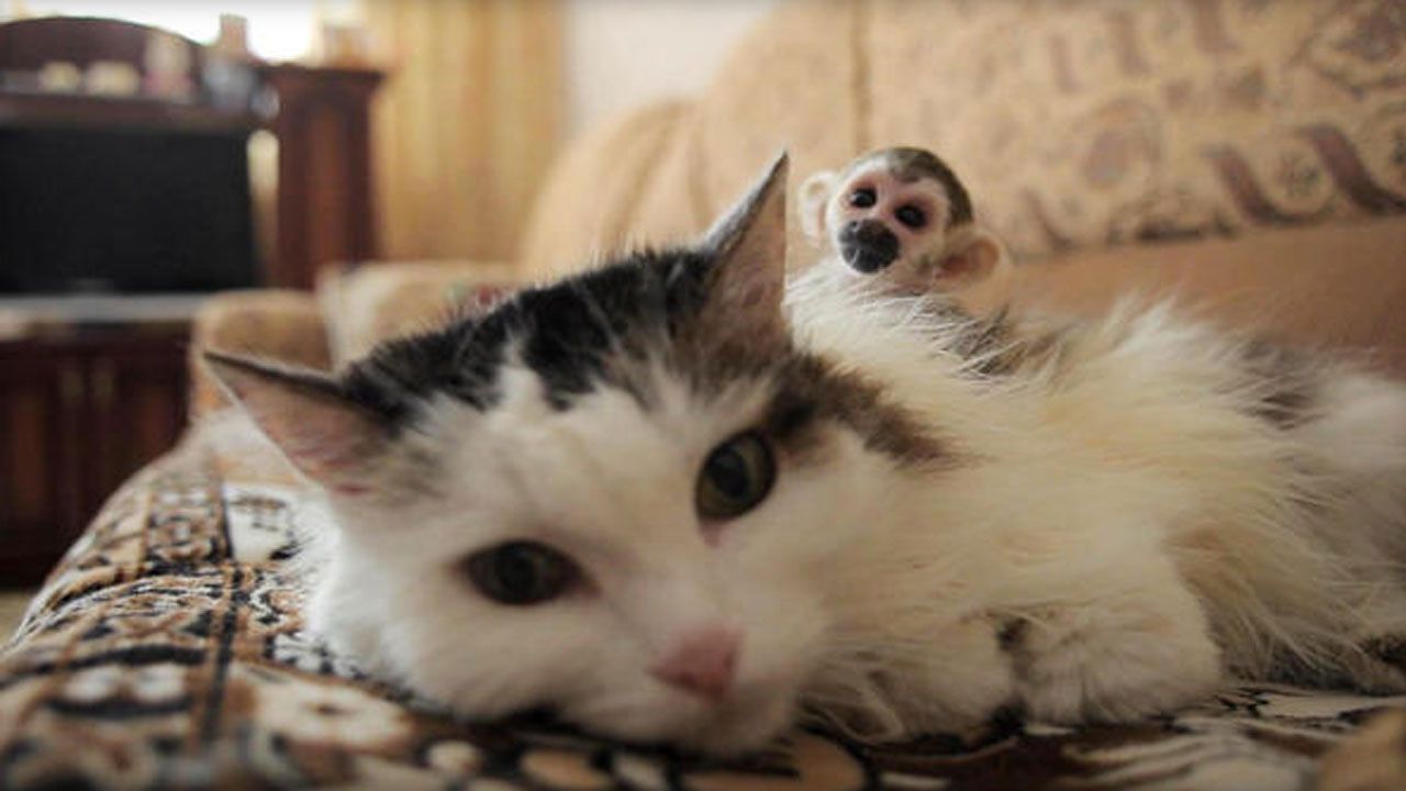 9 Things To Do This Weekend Around The Metro (August 11-13)