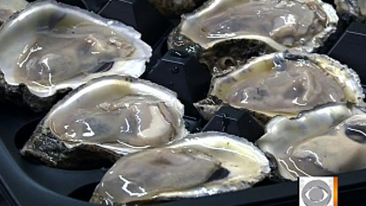 Texas Woman Dies After Eating Contaminated Oysters