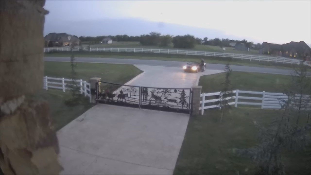 OKC Family Says Dog Theft Caught On Surveillance Video