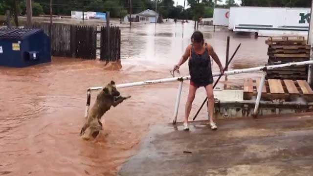 Purcell Woman Rescues Pets In Flood Waters