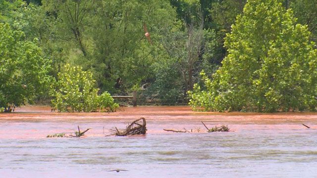 Cows Drown After Lake Thunderbird Flood Gates Opened