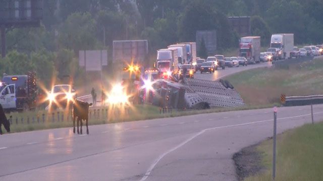 I-40 Closed In Pott. County Due To Overturned Cattle Truck