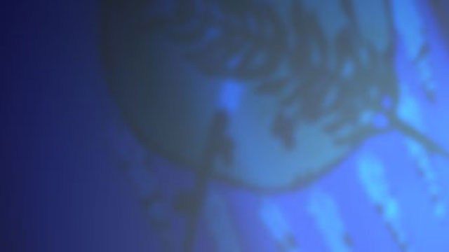 Nearly 90K Oklahomans Receiving Subsidies Targeted In Suit