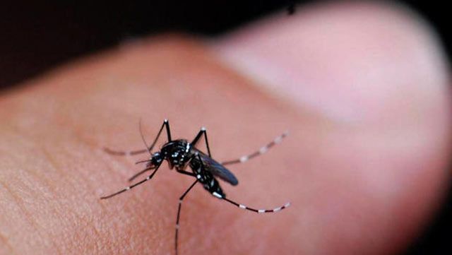 Second Human Case Of West Nile Virus Confirmed In Oklahoma County