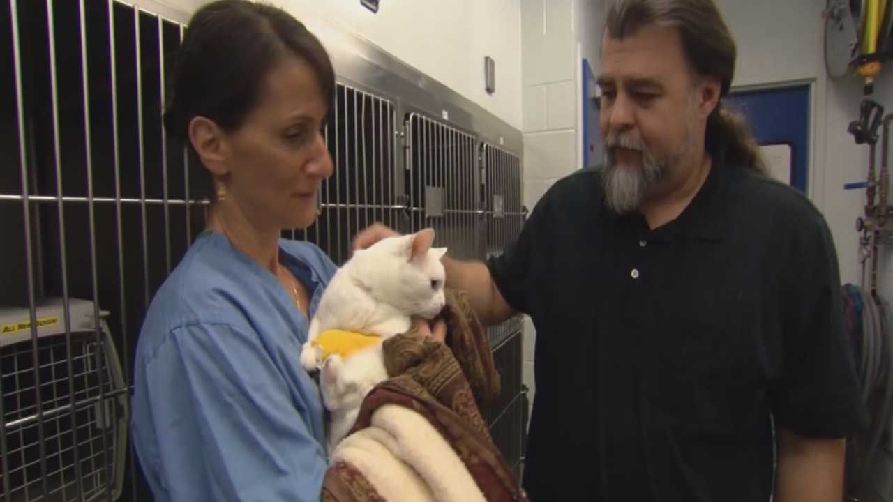 How Much Would You Spend To Save Your Pet's Life?