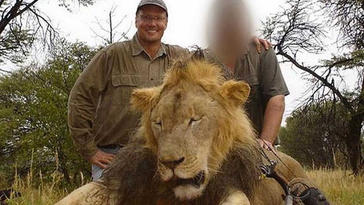 Killer Of Cecil The Lion: I'm Going Back To Work