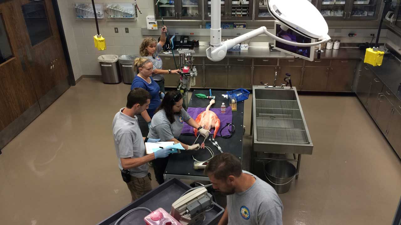 OKC Zoo Celebrates Opening Of New Animal Hospital