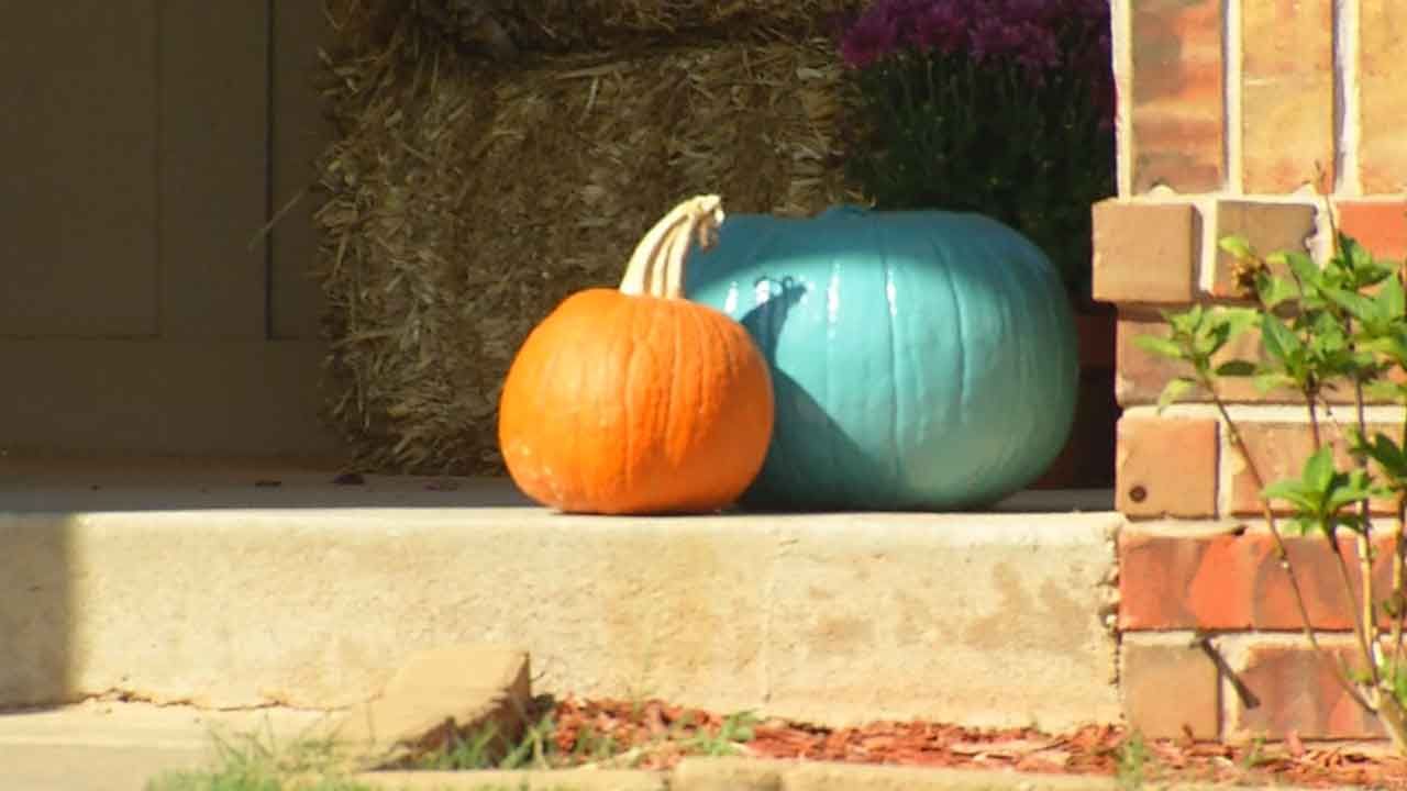 Teal Pumpkin Project Offers Halloween Alternatives For Kids With Allergies
