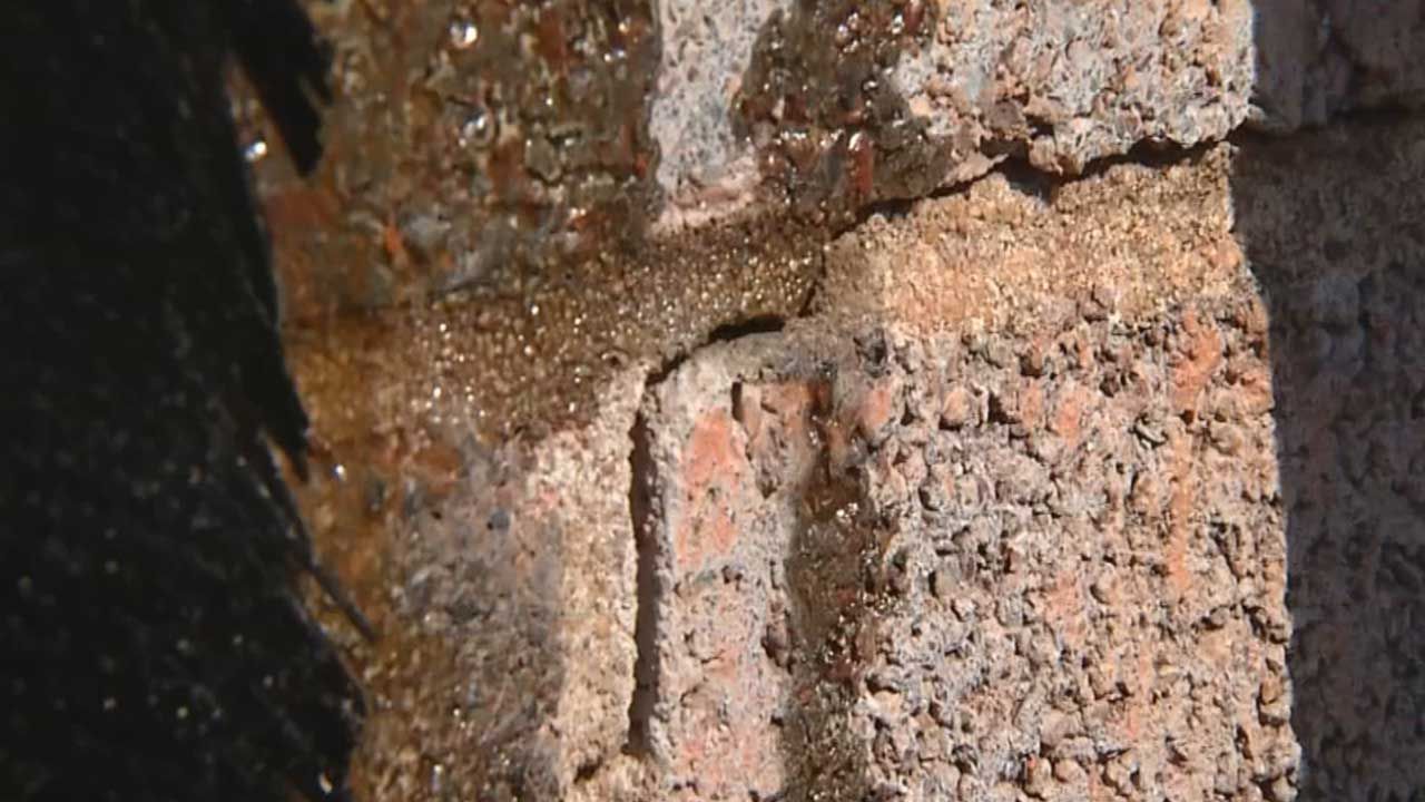 Insurance Companies To Inform Customers Which Earthquakes They Cover