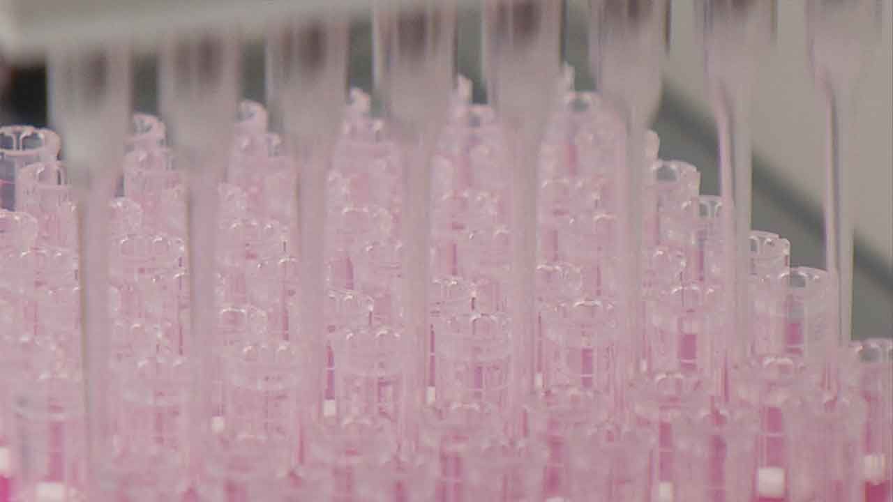 Renewed Push To Require DNA Collection At The Time Of Arrest