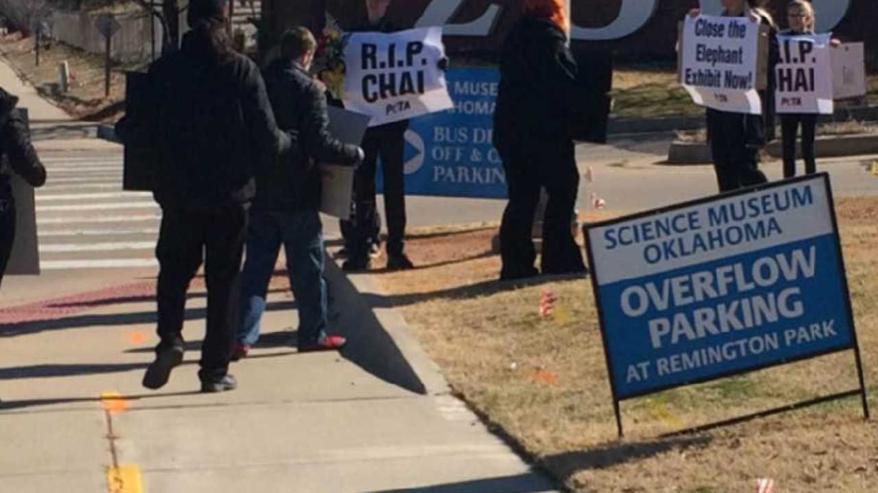 OKC Zoo Faces Criticism Over Elephant Death, USDA Investigating