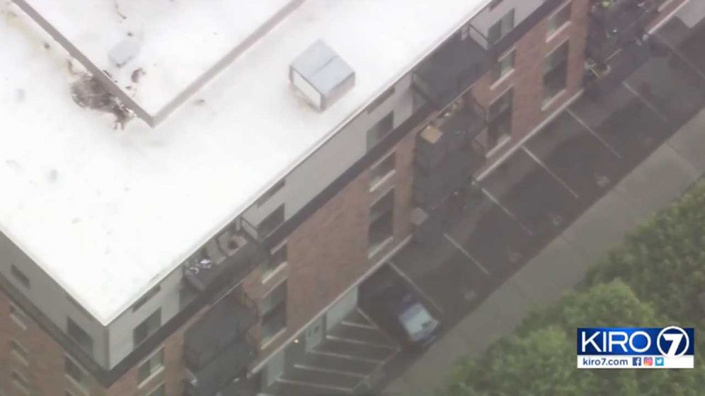 Toddler Survives Falling From 6 Story Window When Car